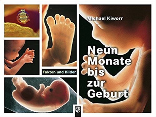 Buchempfehlung - Neun Monate bis zur Geburt